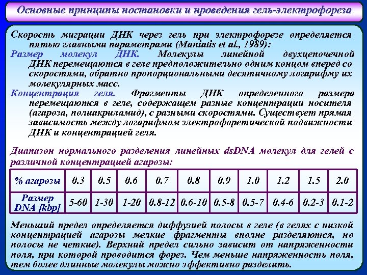 Основные прннципы постановки и проведения гель-электрофореза Скорость миграции ДНК через гель при электрофорезе определяется