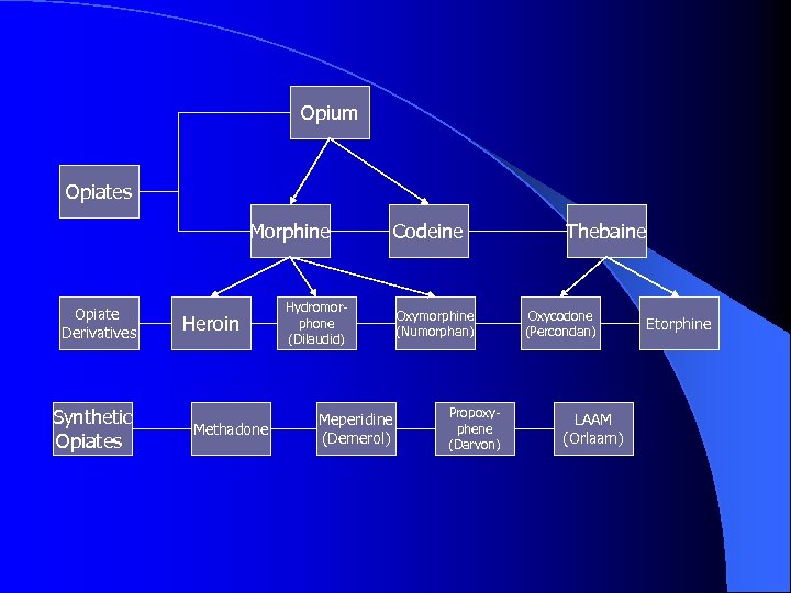 Opium Opiates Morphine Opiate Derivatives Synthetic Opiates Heroin Methadone Hydromorphone (Dilaudid) Meperidine (Demerol) Codeine
