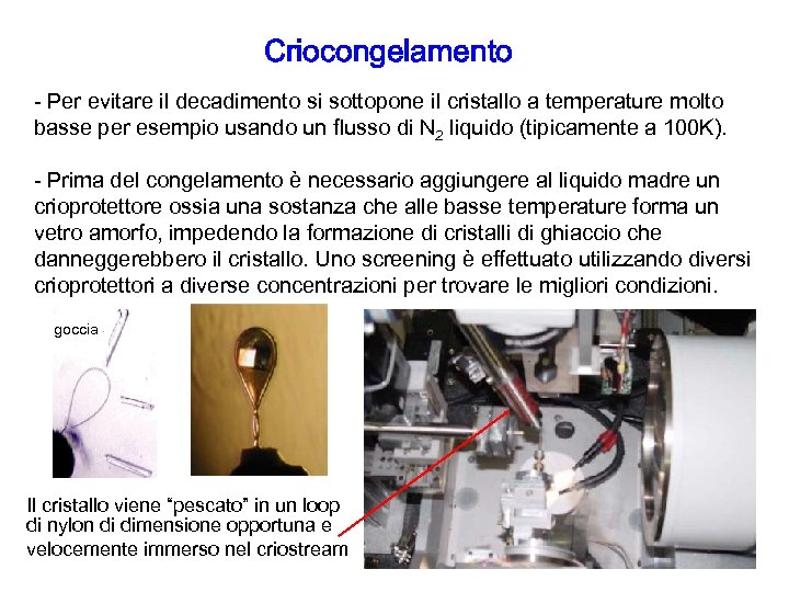 Criocongelamento - Per evitare il decadimento si sottopone il cristallo a temperature molto basse
