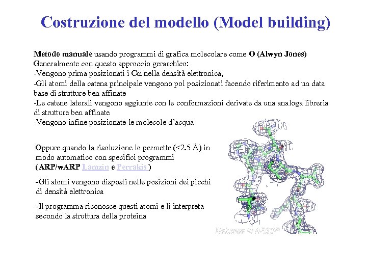 Costruzione del modello (Model building) Metodo manuale usando programmi di grafica molecolare come O