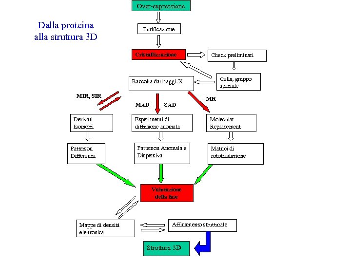 Over-expressione Dalla proteina alla struttura 3 D Purificazione Cristallizzazione Check preliminari Cella, gruppo spaziale