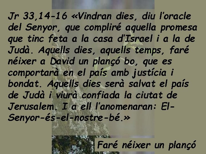 Jr 33, 14 -16 «Vindran dies, diu l’oracle del Senyor, que compliré aquella promesa
