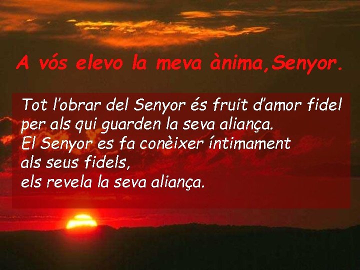 A vós elevo la meva ànima, Senyor. Tot l’obrar del Senyor és fruit d’amor