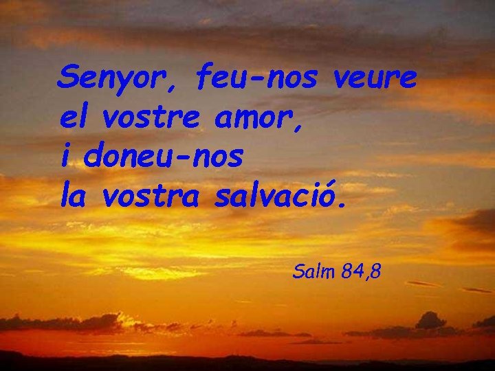 Senyor, feu-nos veure el vostre amor, i doneu-nos la vostra salvació. Salm 84, 8