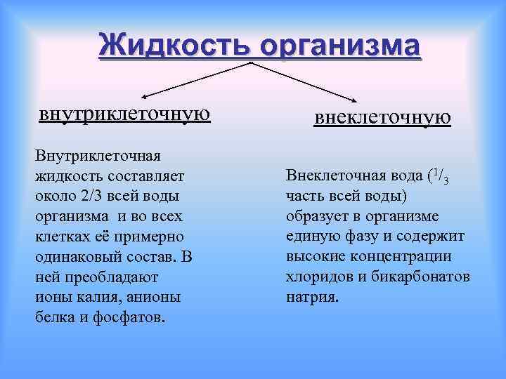 Различия жидкостей. Внутриклеточная и внеклеточная жидкость. Внутриклеточная и внеклеточная вода. Состав внутриклеточной жидкости. Жидкие среды организма внутриклеточные и внеклеточные физиология.