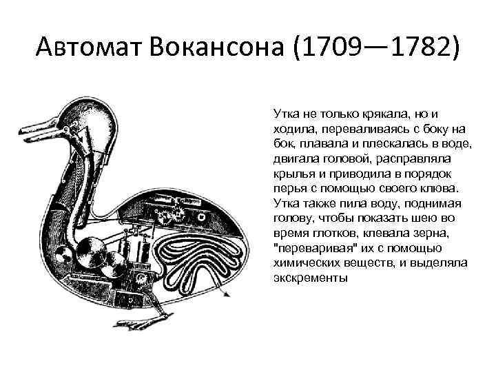 Переваливаясь с боку на бок маркиз. Утка Вокансона. Автомат Вокансона утка. Утка металлическая Вокансона. Автоматон Вокансона «утка, принимающая пищу» (1739).