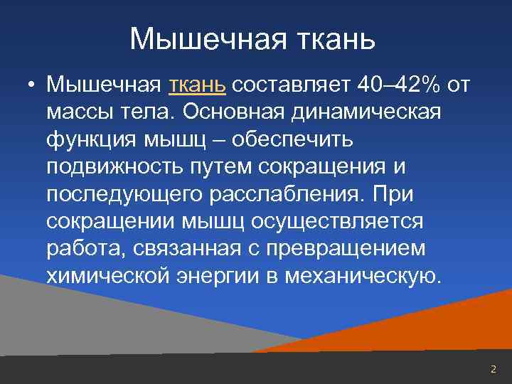 Мышечная ткань • Мышечная ткань составляет 40– 42% от массы тела. Основная динамическая функция