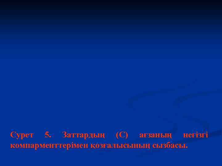 Сурет 5. Заттардың (С) ағзаның негізгі компарменттерімен қозғалысының сызбасы. 