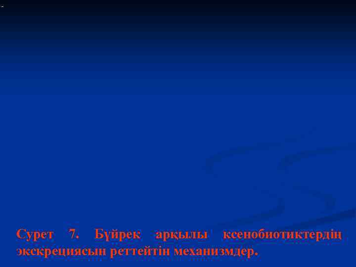 - Сурет 7. Бүйрек арқылы ксенобиотиктердің экскрециясын реттейтін механизмдер. 