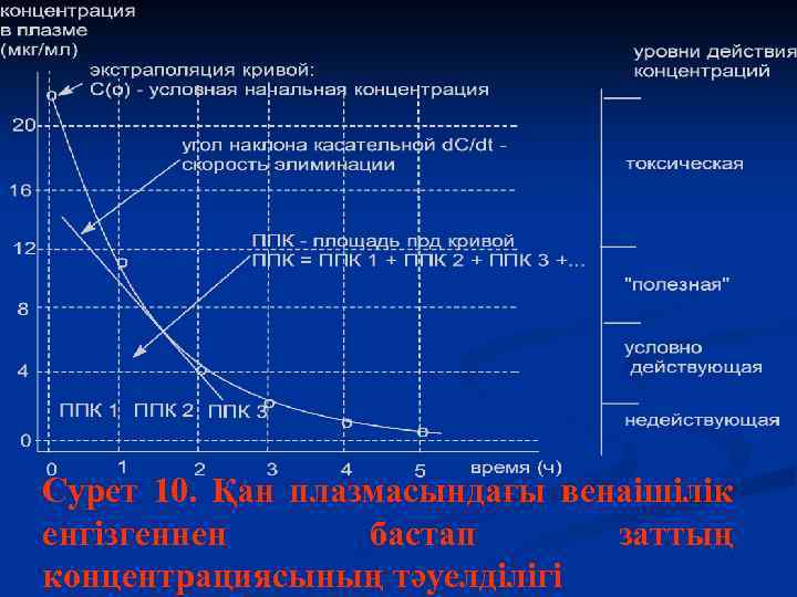 Сурет 10. Қан плазмасындағы венаішілік енгізгеннен бастап заттың концентрациясының тәуелділігі 