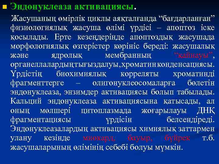 n Эндонуклеаза активациясы. Жасушаның өмірлік циклы аяқталғанда “бағдарланған” физиологиялық жасуша өлімі үрдісі – апоптоз