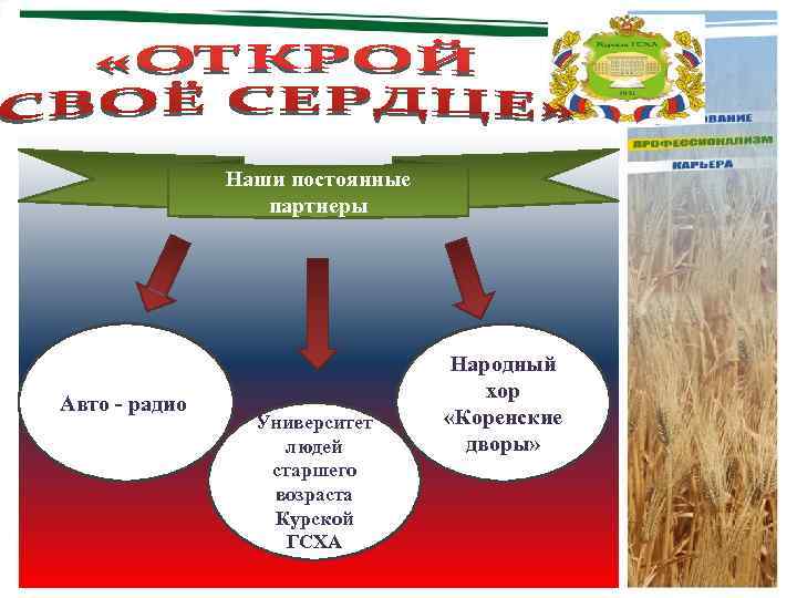 Наши постоянные партнеры Авто - радио Университет людей старшего возраста Курской ГСХА Народный хор