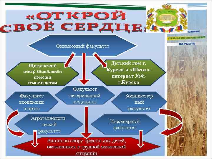 Финансовый факультет Детский дом г. Курска и «Школаинтернат № 4» г. Курска Щигровский центр