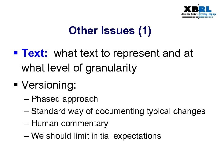 Other Issues (1) § Text: what text to represent and at what level of