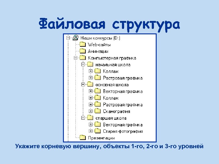Файловая структура Укажите корневую вершину, объекты 1 -го, 2 -го и 3 -го уровней
