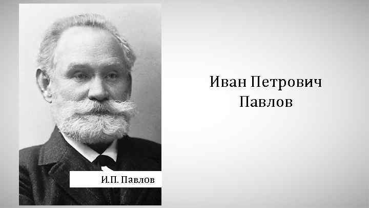 Иван Петрович Павлов И. П. Павлов 