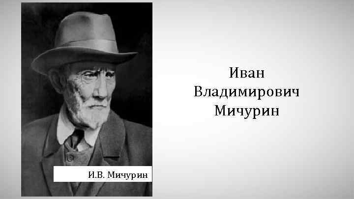 Иван Владимирович Мичурин И. В. Мичурин 