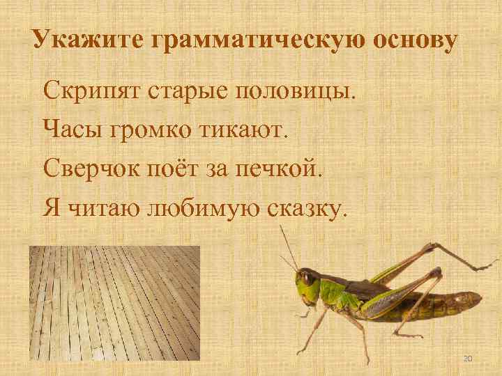 Укажите грамматическую основу Скрипят старые половицы. Часы громко тикают. Сверчок поёт за печкой. Я