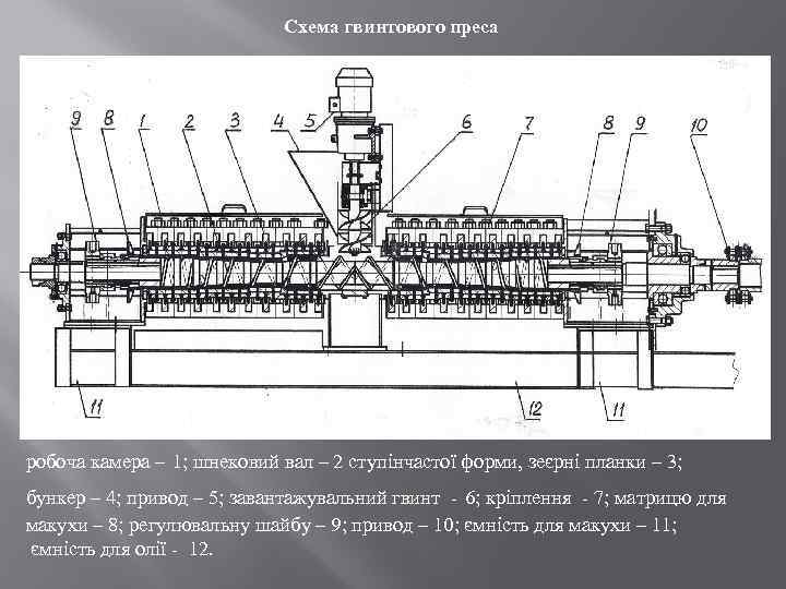 Схема гвинтового преса робоча камера – 1; шнековий вал – 2 ступінчастої форми, зеєрні