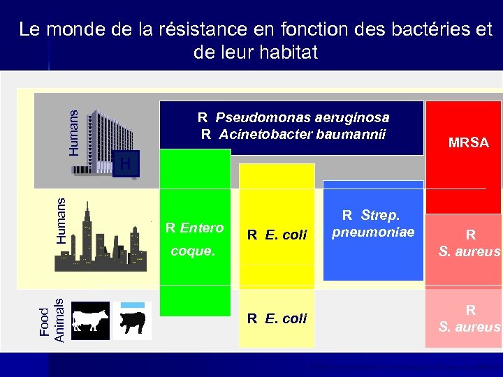 Food Animals Humans Le monde de la résistance en fonction des bactéries et de