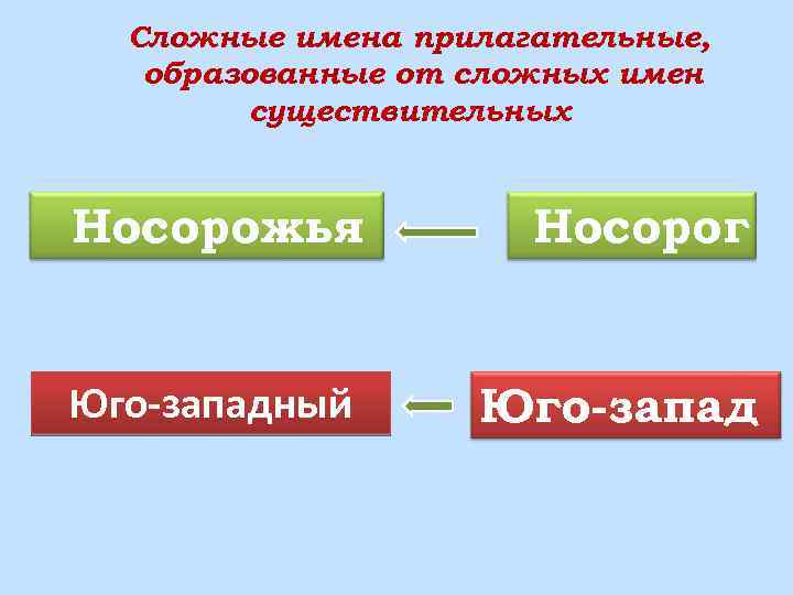 Сложные имена прилагательные, образованные от сложных имен существительных Носорожья Носорог Юго-западный Юго-запад 