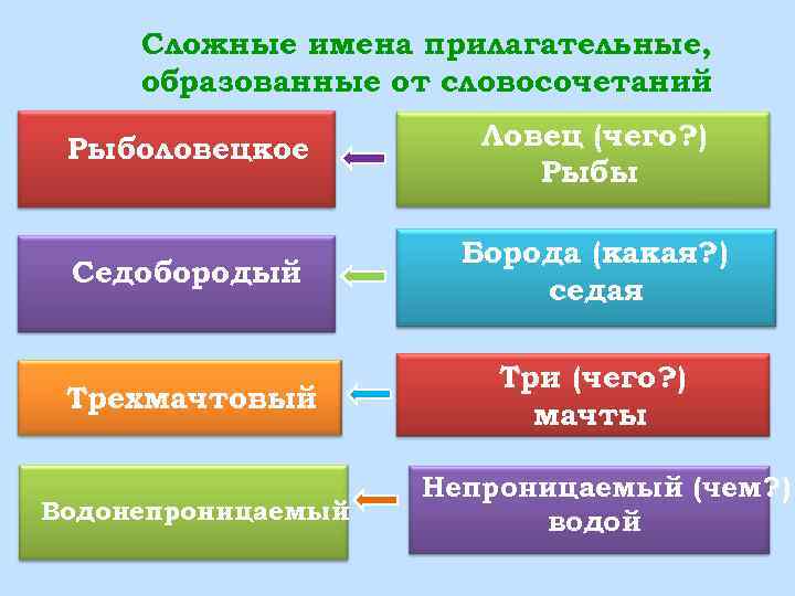 Сложные имена прилагательные, образованные от словосочетаний Рыболовецкое Ловец (чего? ) Рыбы Седобородый Борода (какая?