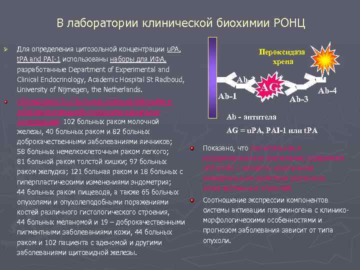 В лаборатории клинической биохимии РОНЦ Ø Для определения цитозольной концентрации u. PA, t. PA