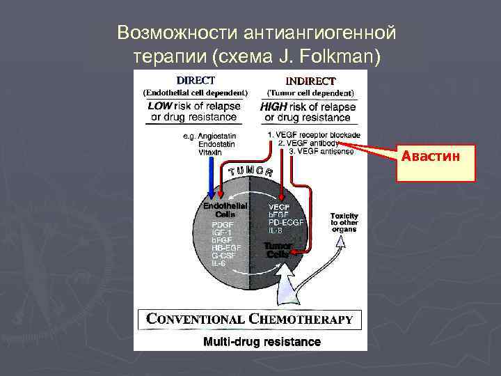 Возможности антиангиогенной терапии (схема J. Folkman) Авастин 