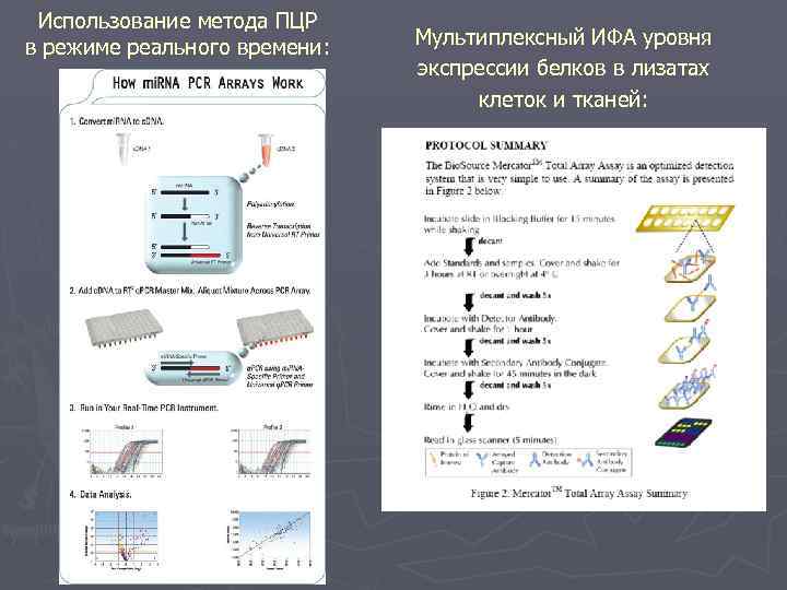 Использование метода ПЦР в режиме реального времени: Мультиплексный ИФА уровня экспрессии белков в лизатах