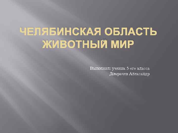 ЧЕЛЯБИНСКАЯ ОБЛАСТЬ ЖИВОТНЫЙ МИР Выполнил: ученик 5 «г» класса Домрачев Александр 
