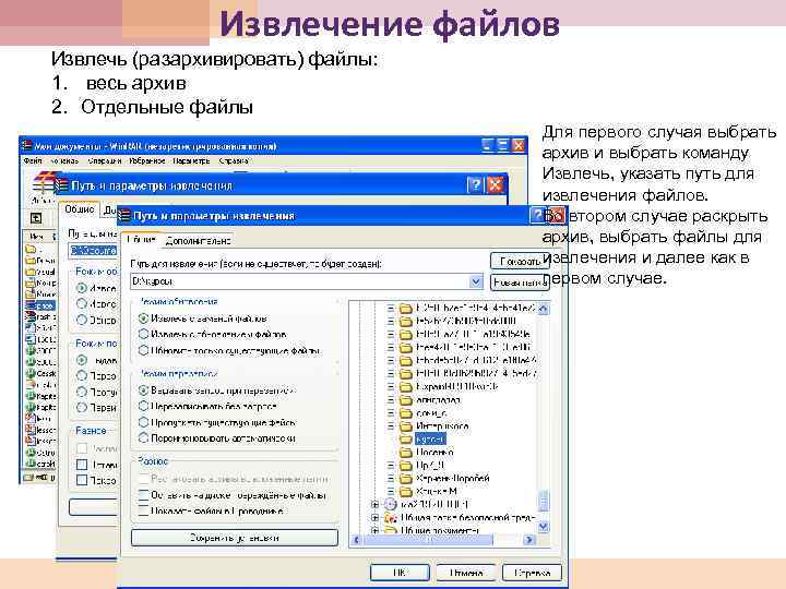 Извлечение файлов Извлечь (разархивировать) файлы: 1. весь архив 2. Отдельные файлы Для первого случая