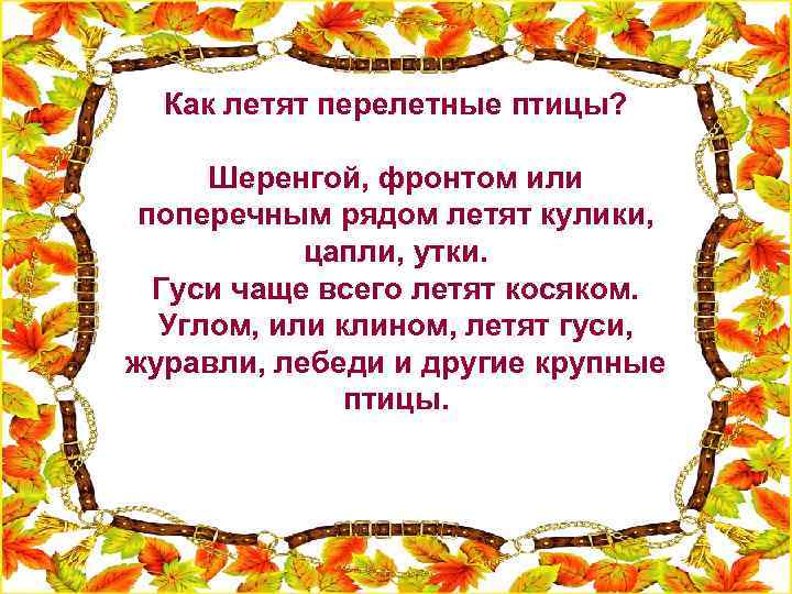 Как летят перелетные птицы? Шеренгой, фронтом или поперечным рядом летят кулики, цапли, утки. Гуси