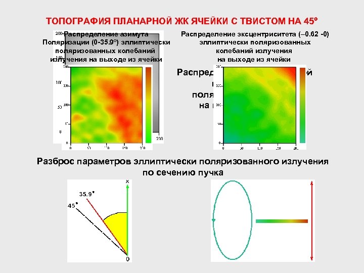 ТОПОГРАФИЯ ПЛАНАРНОЙ ЖК ЯЧЕЙКИ С ТВИСТОМ НА 45 Распределение азимута Поляризации (0 -35. 9º)