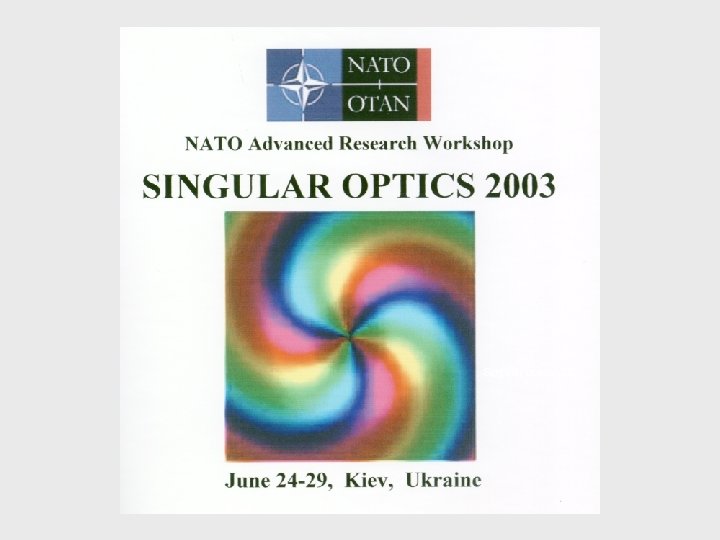 Singular optics 2003 