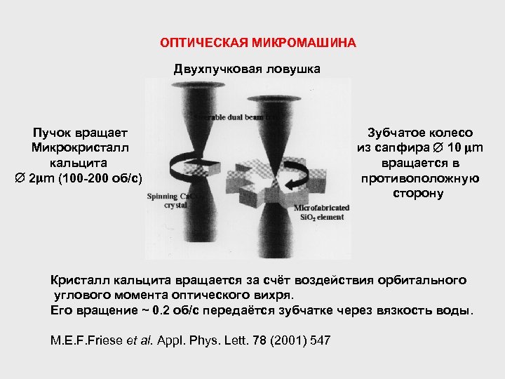 ОПТИЧЕСКАЯ МИКРОМАШИНА Двухпучковая ловушка Пучок вращает Микрокристалл кальцита 2 m (100 -200 об/с) Зубчатое
