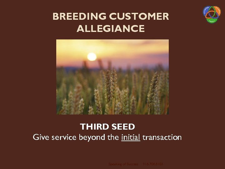 BREEDING CUSTOMER ALLEGIANCE THIRD SEED Give service beyond the initial transaction Speaking of Success