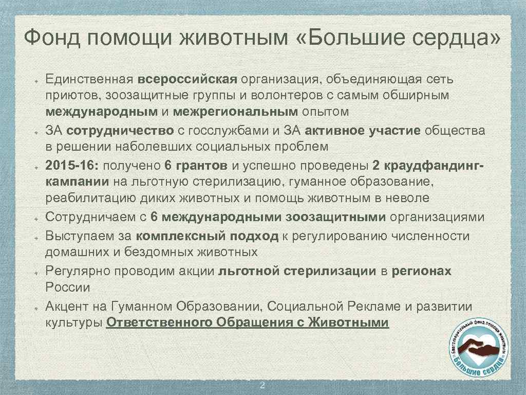Фонд помощи животным «Большие сердца» Единственная всероссийская организация, объединяющая сеть приютов, зоозащитные группы и