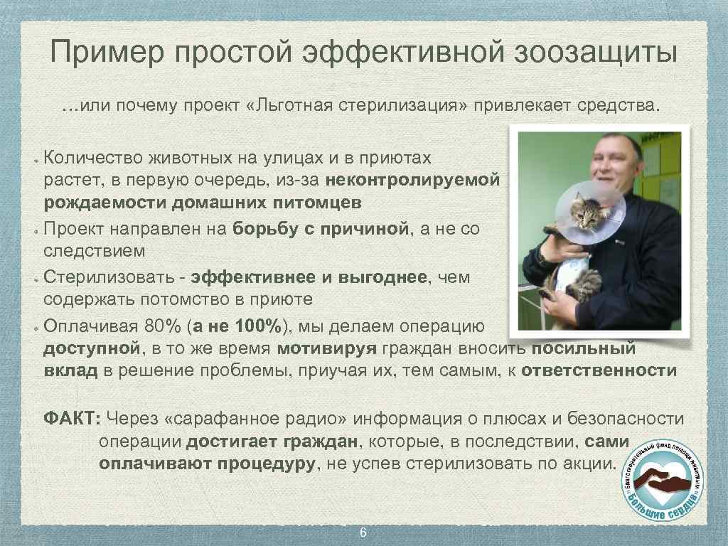 Пример простой эффективной зоозащиты …или почему проект «Льготная стерилизация» привлекает средства. Количество животных на