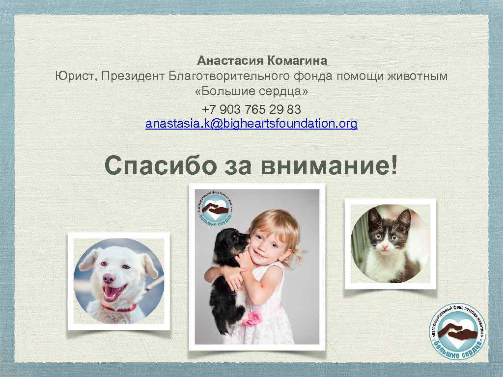 Анастасия Комагина Юрист, Президент Благотворительного фонда помощи животным «Большие сердца» +7 903 765 29