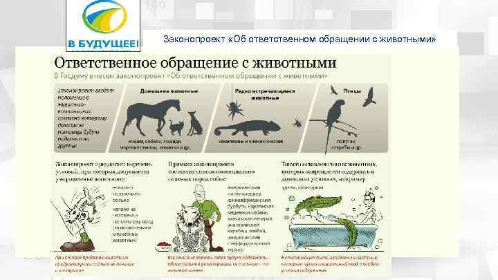 Об ответственном обращении с животными. Проблемы ответственного обращения с животными. Уроки об ответственном обращении с животными. Ответственное обращение с животными лекция для детей. ОСВВ закон о животных.