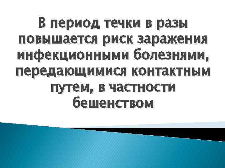 В период течки в разы повышается риск заражения инфекционными болезнями, передающимися контактным путем, в