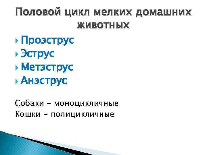 Пол цикла. Половые циклы собак. Длительность полового цикла собаки:. Продолжительность полового цикла у собак. Фазы полового цикла собак.