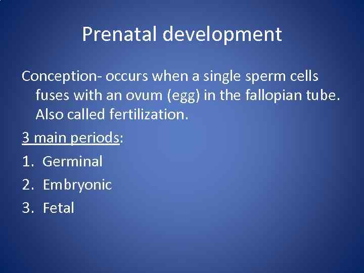 Prenatal development Conception- occurs when a single sperm cells fuses with an ovum (egg)