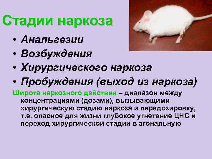 Стадии наркоза • • Анальгезии Возбуждения Хирургического наркоза Пробуждения (выход из наркоза) Широта наркозного