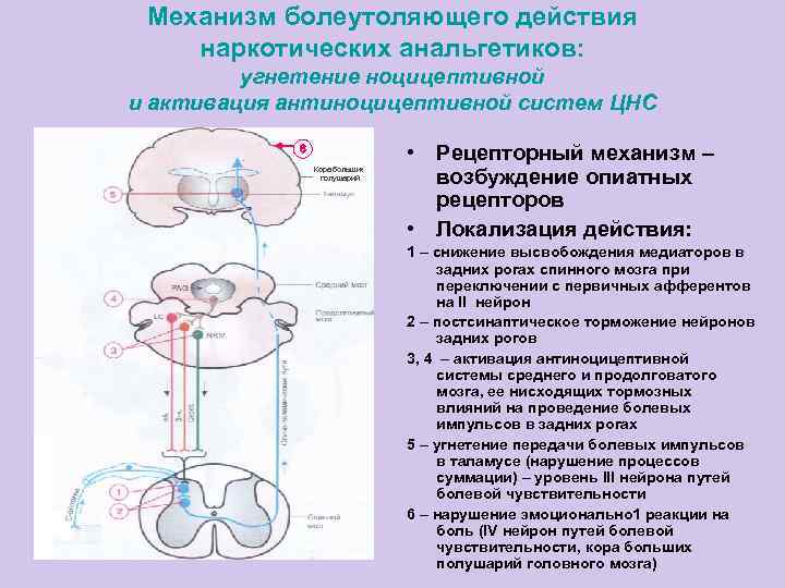 Активируйте механизм