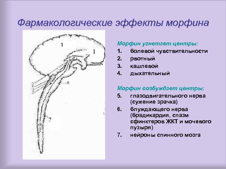 Фармакологические эффекты морфина Морфин угнетает центры: 1. болевой чувствительности 2. рвотный 3. кашлевой 4.