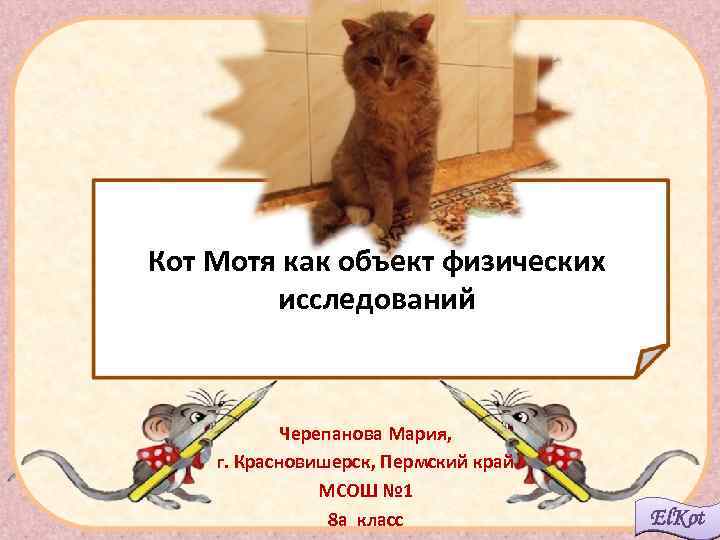  Кот Мотя как объект физических исследований Черепанова Мария, г. Красновишерск, Пермский край МСОШ