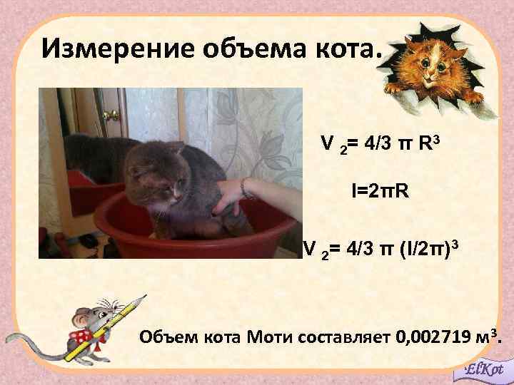 Измерение объема кота. V 2= 4/3 π R 3 l=2πR V 2= 4/3 π