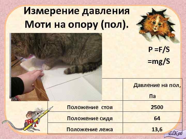 Измерение давления Моти на опору (пол). Р =F/S =mg/S Давление на пол, Па Положение