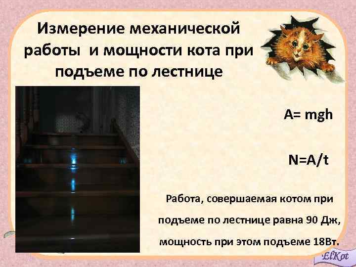 Измерение механической работы и мощности кота при подъеме по лестнице A= mgh N=A/t Работа,
